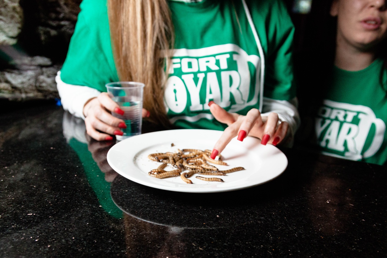 По мотивам известного французского телешоу